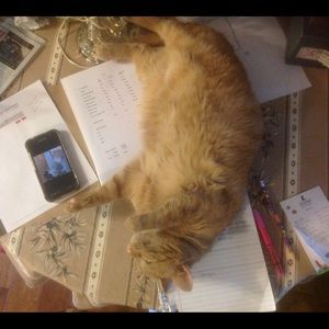 Meet your Posher, Clarsie